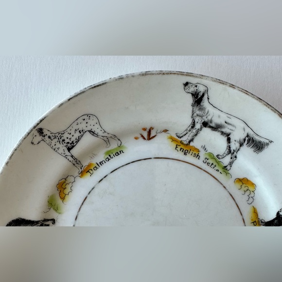 Paragon British Dog Series 7” Plate - Picture 3 of 6